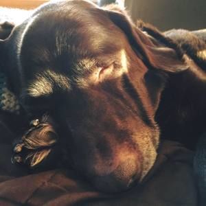 Meet your Posher, Kathleen